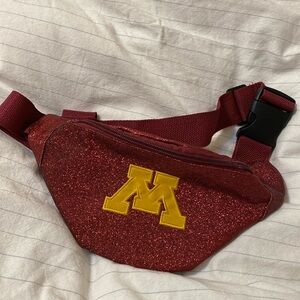 University of Minnesota Gophers M bag